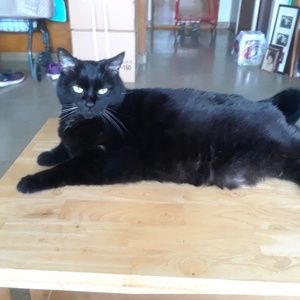 Meet your Posher, Georgia